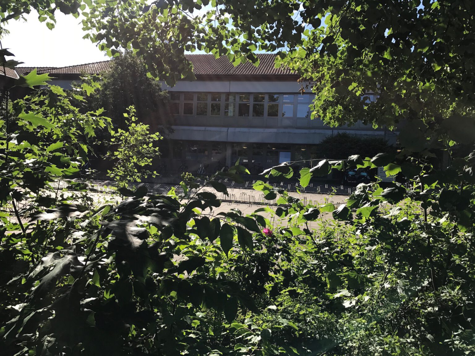 KGS – Kooperative Gesamtschule Schneverdingen